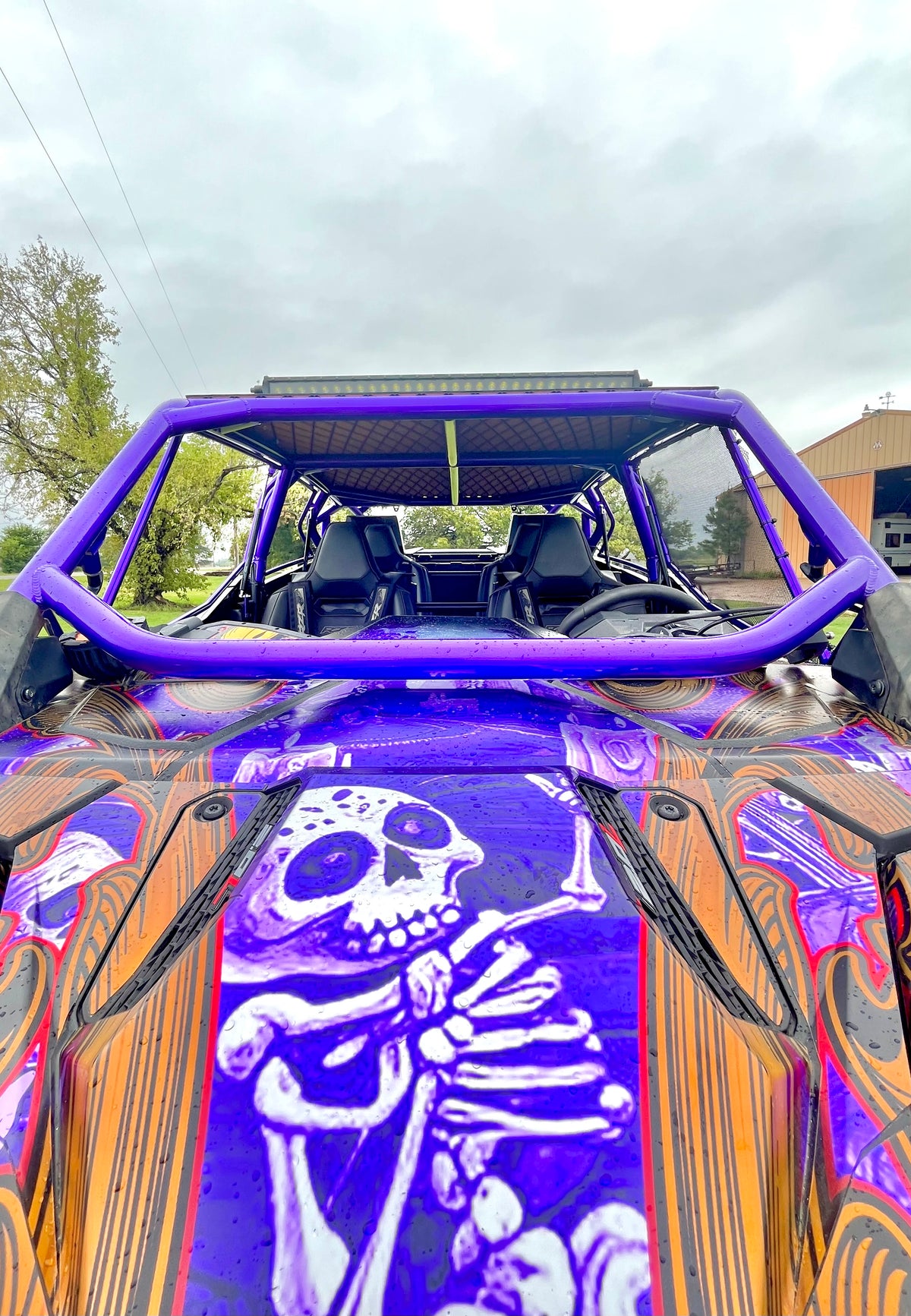 Polaris Pro R4 Pulsar cage