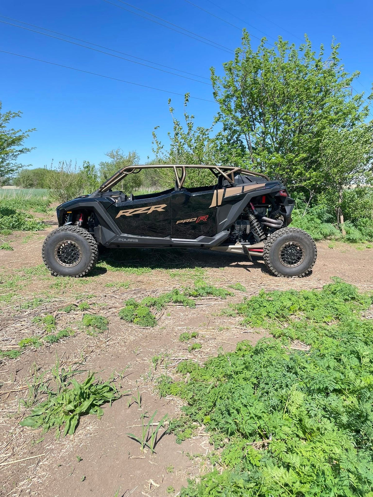 Polaris Pro R4 Pulsar cage
