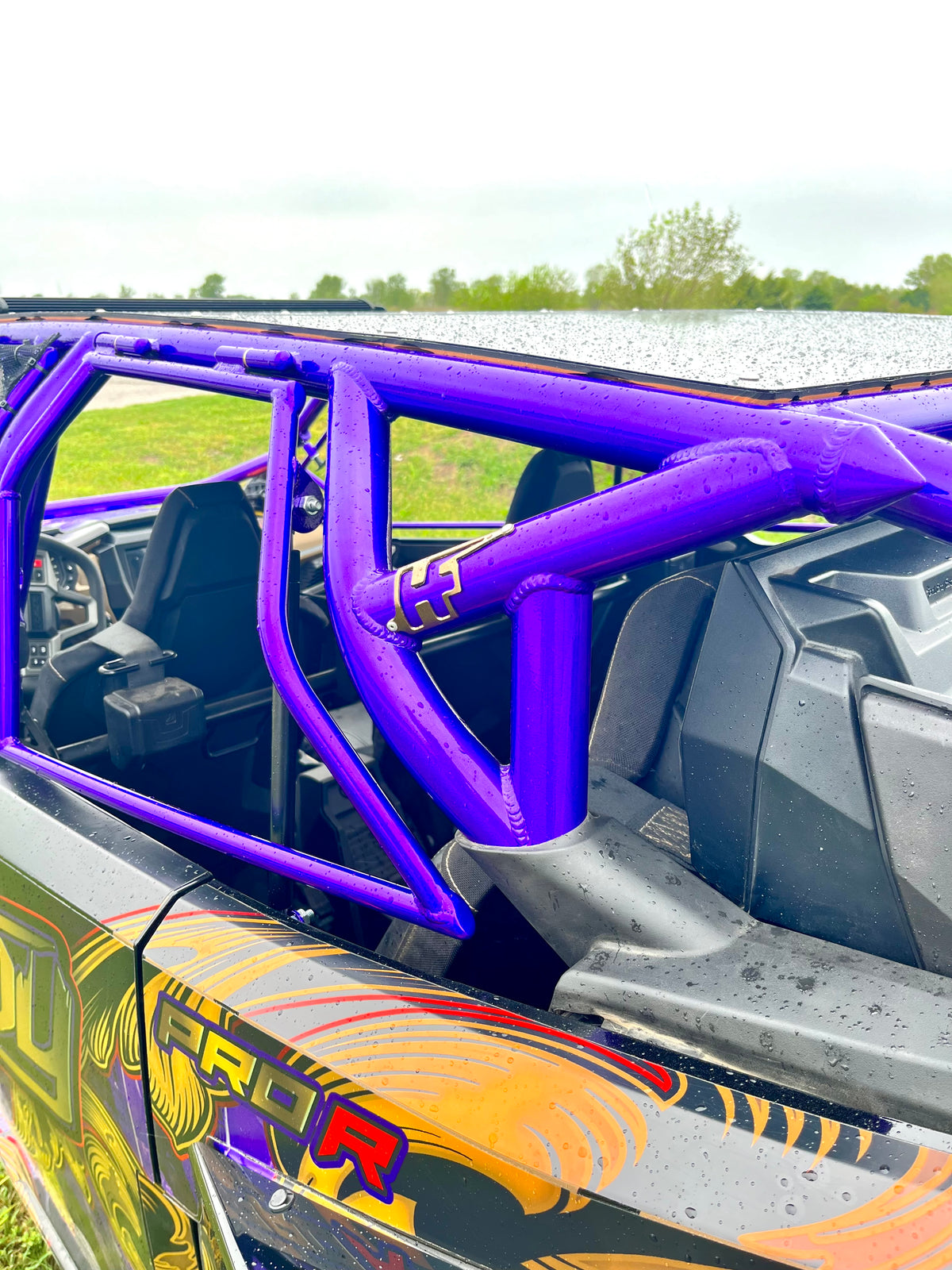 Polaris Pro R4 Pulsar cage